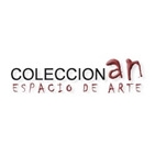 Coleccin An Espacio de Arte