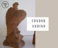 Cóndor andino