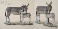 DONKEY AND SON Equus asinus
