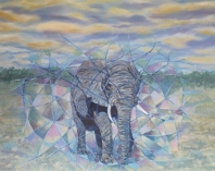 Elefante africano y su áura