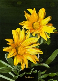 Flores silvestres amarillas