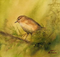 Mosquitero 21x21cm