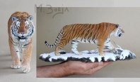 SIBERIAN TIGER panthera tigris altaica