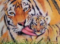Tigre mamá e hijo